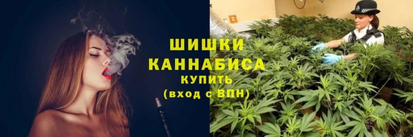 сатива Киренск