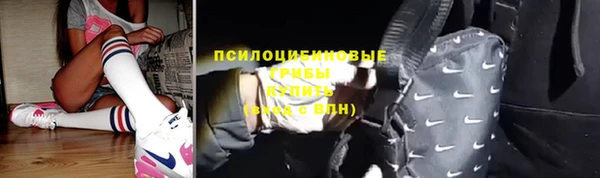 сатива Киренск