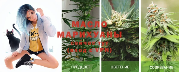 мдпв Киреевск