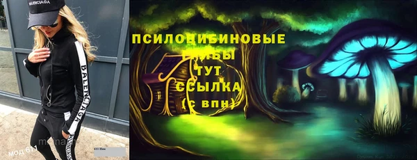 мдпв Киреевск