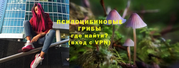мдпв Киреевск