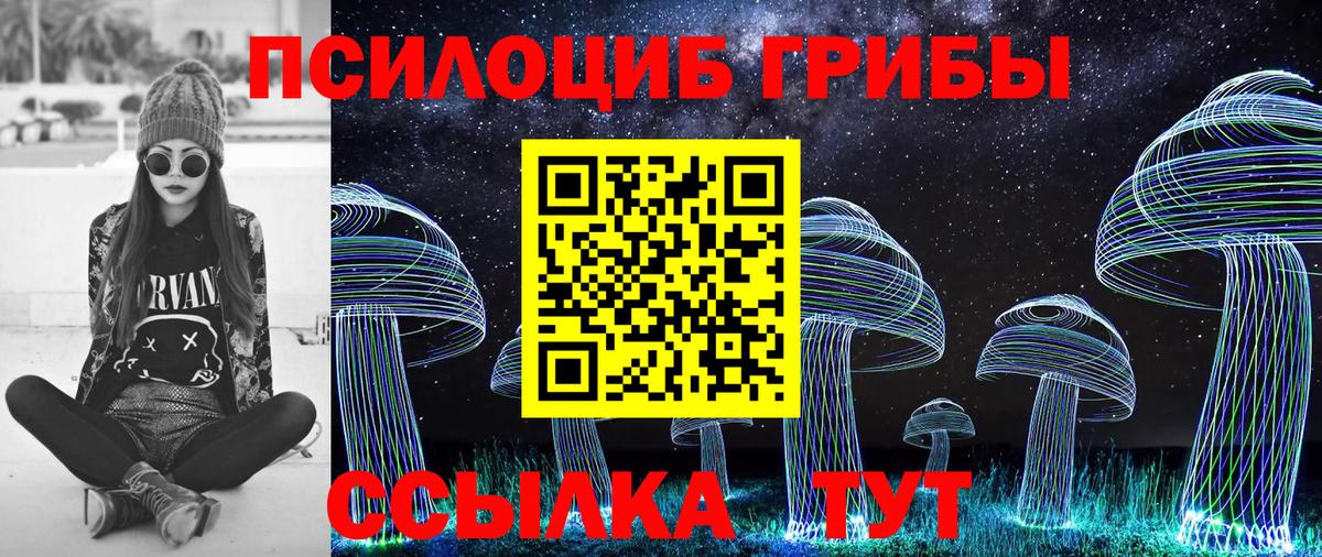 Галлюциногенные грибы Psilocybine cubensis Фурманов